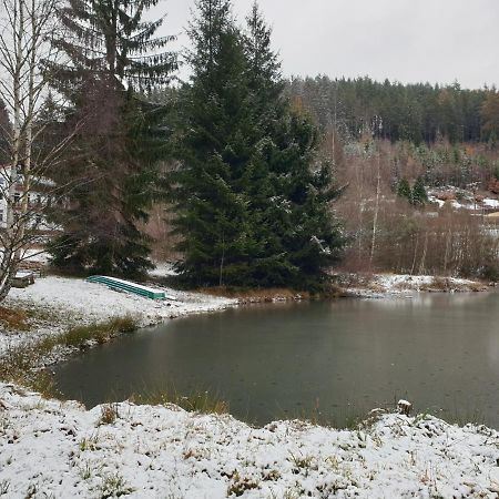 Penzion Lumis Nová Role Exterior photo